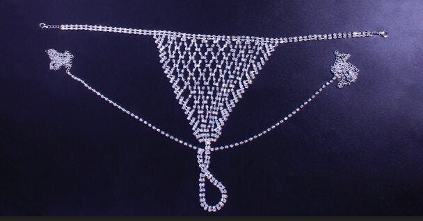 Silver Rhinestone Chain Mesh Bikini Set - Sexy Sparkly Bra & Thong Lingerie