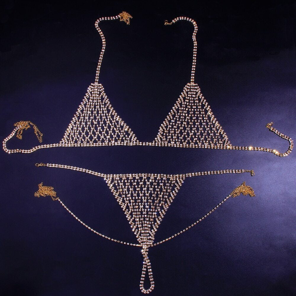 Silver Rhinestone Chain Mesh Bikini Set - Sexy Sparkly Bra & Thong Lingerie