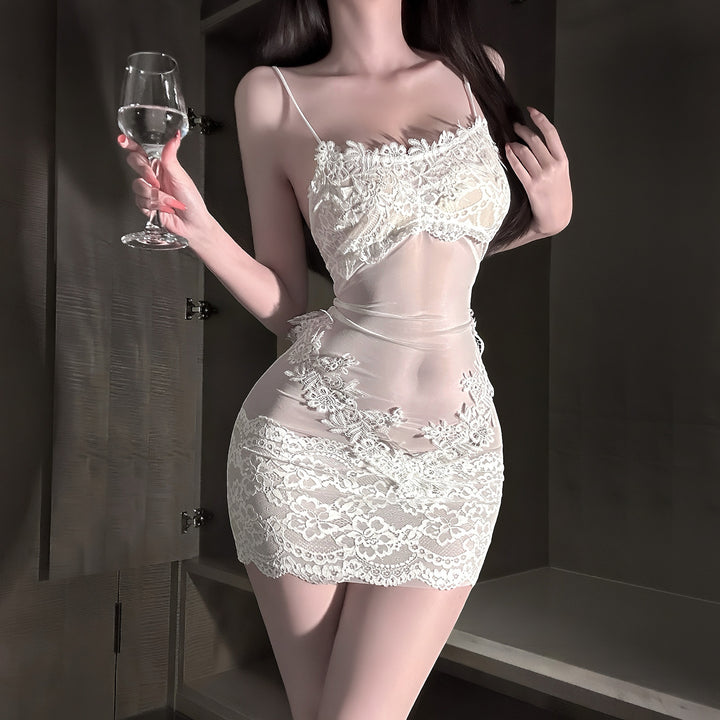 Sexy Lace Embroidered Trim Sheer Mesh Slip Dress